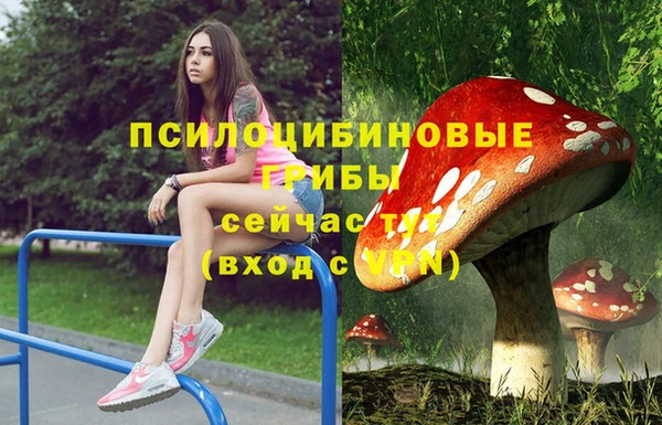 синтетический гашиш Алексин