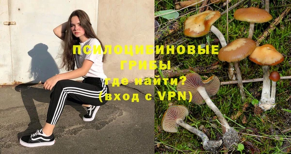 амф Алзамай