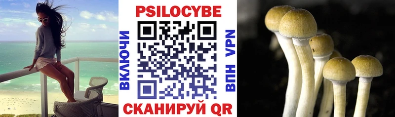 Галлюциногенные грибы мицелий  наркота  Липки 